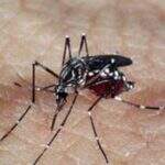 MS registra 12 mil notificações e quase 3 mil casos confirmados de dengue em dois meses