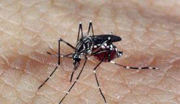 MS registra 12 mil notificações e quase 3 mil casos confirmados de dengue em dois meses