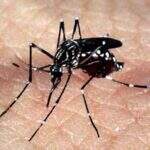 Novembro será mês de enfrentamento à dengue, zika e chikungunya