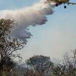 Sindicato de aviação agrícola debate uso de aviões em combate a incêndios