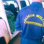 Contrabandista abandona carga de R$ 1 milhão em agrotóxicos durante fuga