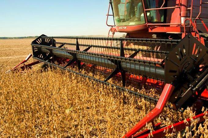 Número de ocupados no agronegócio se recupera no 3º trimestre de 2020, diz Cepea