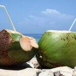 Governo define padrões de qualidade para água de coco processada