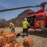 Helicópteros lançam vegetais na Austrália para alimentar os animais