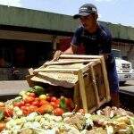 Diretor do PMA defende redução do desperdício de alimentos no Brasil