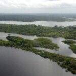 General Heleno: Amazônia é muito preservada; 85% é floresta intocada
