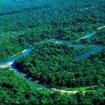 Líder do PT quer suspender decreto que transfere florestas para Agricultura