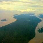 Amazônia registra recorde de desmatamento para o mês de outubro