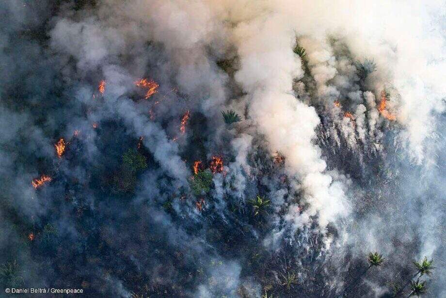 Fumaças da Amazônia e Pantanal começam a chegar no Sudeste e Sul do País