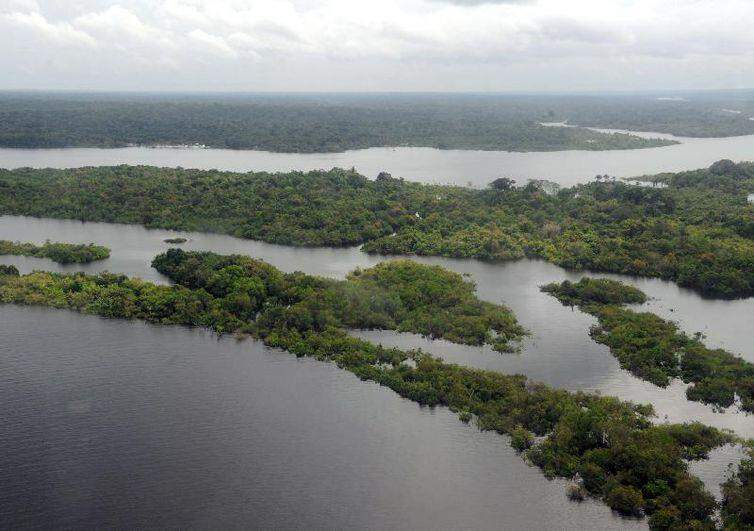 General Heleno: Amazônia é muito preservada; 85% é floresta intocada