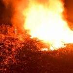 Força-tarefa combate incêndio por quase 20 horas na Serra do Amolar