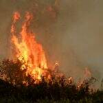 Organizações alertam para risco de novos incêndios devastadores no Pantanal este ano