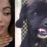 Com ajuda de Luísa Mell, Anitta adota cãozinho