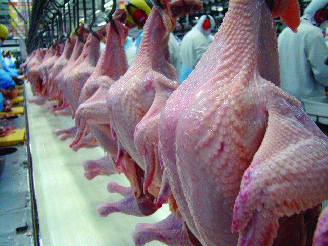 Paquistão abre mercado para carne brasileira de aves