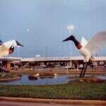 Aeroporto de Campo Grande opera normalmente nesta quarta-feira