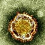China estuda estender feriado do Ano Novo para controlar surto de ‘Coronavírus’