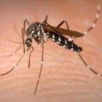 Cidade de MS decreta situação de emergência por epidemia da dengue