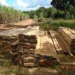 PMA fecha serraria ilegal e apreende 62 m³ de madeira em cidade do interior de MS