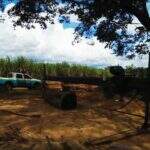 Polícia Militar Ambiental fecha serraria ilegal instalada em Paraíso das Águas