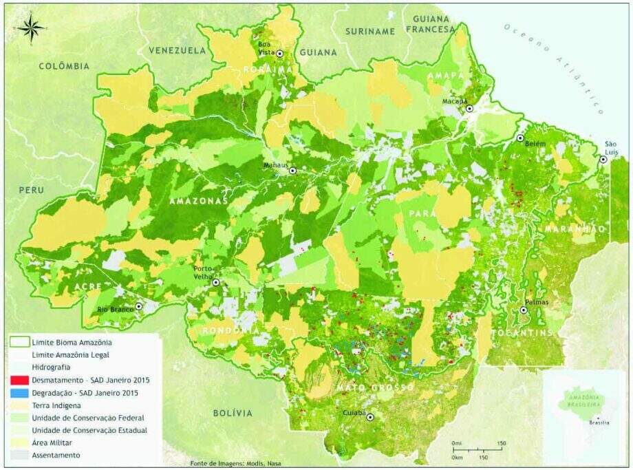 Levantamento aponta alta de 169% no desmatamento da Amazônia Legal
