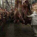 Exportação de carne do Brasil despenca por queda na Rússia