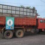 Caminhão com carga de madeira ilegal é apreendido e empresário multado em R$ 4,4 mil