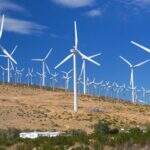 Capacidade de energia eólica deve crescer 62% no País
