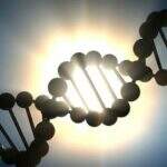Pela primeira vez, cientistas ‘editam’ DNA de embrião humano