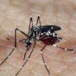 Casos aumentam e dengue pode ter causado mais três mortes no Estado