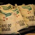 Cecafé: receita cambial com café exportado em março alcança US$ 552,29 milhões