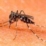 Depois de morte de professor, óbitos por dengue no estado podem chegar a sete no ano