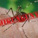 Notificações de chikungunya em 2015 já quase se igualam às do ano passado