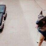 Cão da Polícia Rodoviária Federal fareja 30 kg de cocaína em carro e ônibus