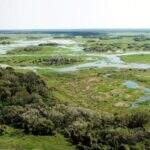 Entidades rurais querem prorrogar prazo para ‘Cadastro Ambiental Rural’