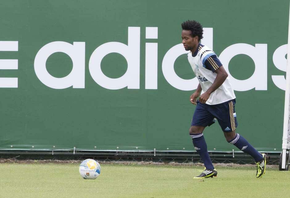 Oswaldo de Oliveira escala Palmeiras sem Zé Roberto contra Mogi Mirim