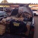 DOF apreende caminhonetes e 3,2 toneladas de maconha em Mato Grosso do Sul