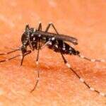 Saúde de Dourados confirma segunda morte causada pela dengue
