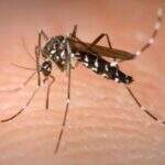 Saúde confirma primeiro caso de febre chikungunya na cidade de Corumbá