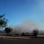VÍDEO: bombeiros têm trabalho redobrado com fogo em Campo Grande