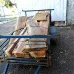 PMA autua infrator por transporte de pranchas de madeira em MS