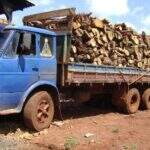Caminhão com carga ilegal de madeira é apreendido e dono é multado em R$ 6,3 mil