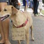 Grupo protesta contra fechamento de clínica que atendia cães de graça