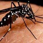 Comissão de Orçamento destina R$ 500 milhões para combate a mosquito da dengue
