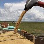 Produção da safra de grãos deve subir 16% em MS e alcançar 17,3 milhões/t em 2015