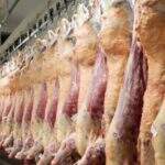 Carne suína fica mais competitiva que as concorrentes em fevereiro de 2015