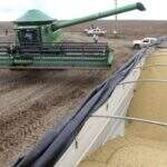 Chuvas podem prejudicar avanço da colheita de soja, que segue atrasada