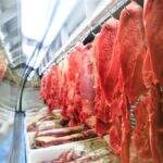 Exportações de carne bovina e frango têm queda em janeiro