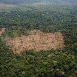 Polícia Federal e Ibama prendem maior desmatador da Amazônia