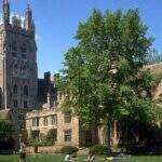 Universidade Yale dará bolsa de estudos para brasileiro