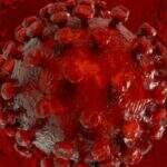 Testes com nova vacina indicam proteção total contra vírus HIV